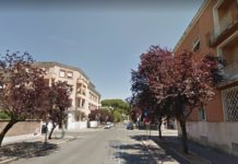 Latina, parte il piano sostituzione alberi malati