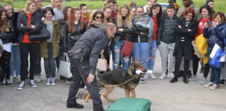 Economia sana tra gli obiettivi della Guardia di Finanza, lezione di legalità a Formia