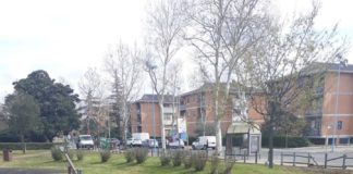 Latina, manutenzione verde pubblico: ecco il calendario dei prossimi interventi