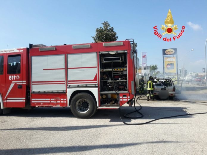 55e39f9b-df77-4202-8172-405f7e1973dc