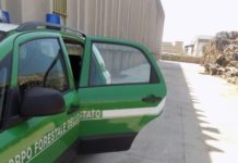 Latina, trattamento rifiuti inerti fuori norma: sigilli alla Cespe. Blitz di carabinieri forestali e Arpa