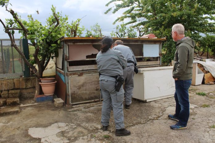 WhatsApp Image 2018-05-05 at 10.21.16