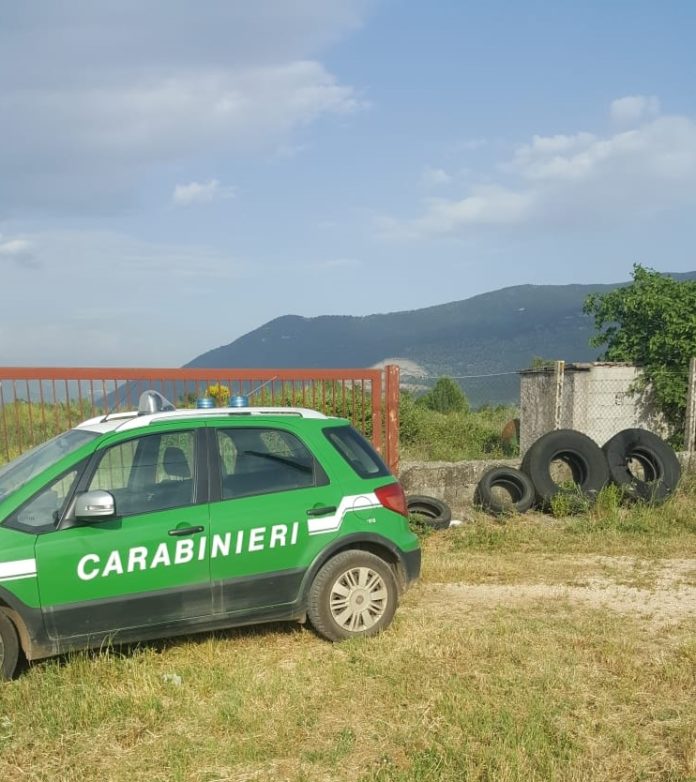 WhatsApp Image 2018-05-22 at 13.54.07