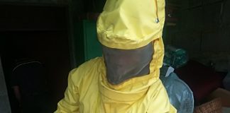 Aprilia, magazzino infestato dai calabroni: i vigili del fuoco rimuovono l’alveare gigante