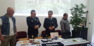 Aprilia, coltivazione di marijuana in un container e armi in casa. In manette due uomini di Anzio