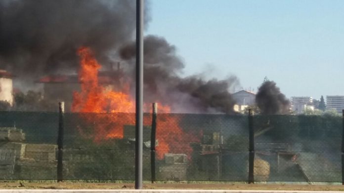 20180628_174159_resized