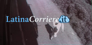 Sezze, rapina alla Conad di via Fanfara