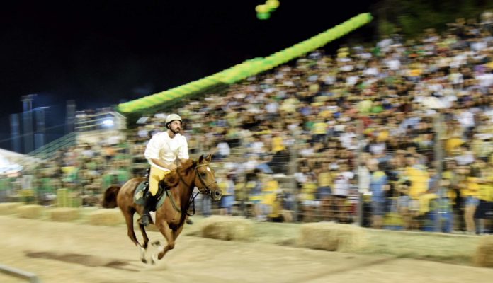 cavaliere di Porta Signina (1)