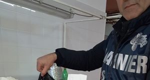 Deposito non autorizzato di prodotti fitosanitari (etichettatura non a norma), maxi sequestro a Fondi