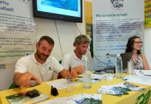 Inquinamento dei laghi pontini, la pagella di Goletta. Partono gli esposti di Legambiente