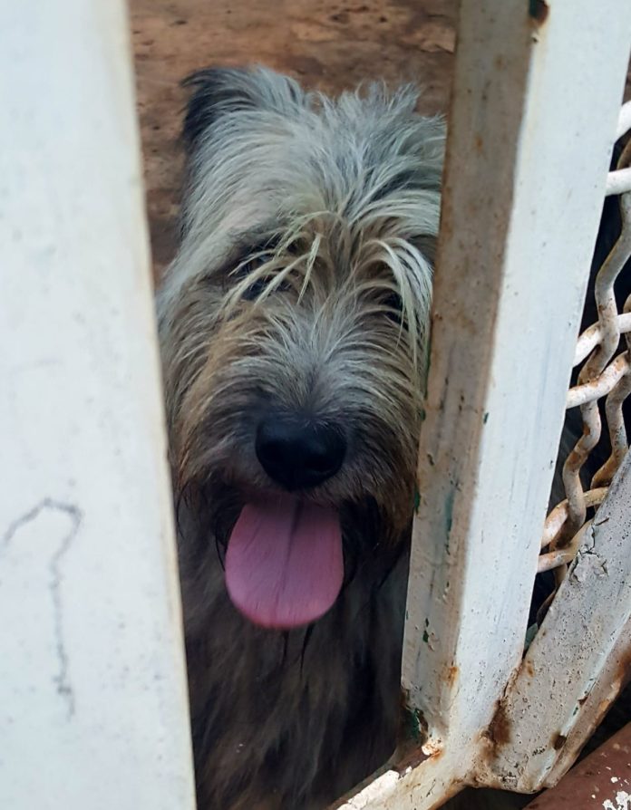 6d76b596-fefb-48a4-807c-ef5c449102d5