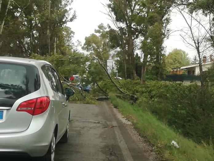 44977575_10213641185799762_2514856415852494848_n