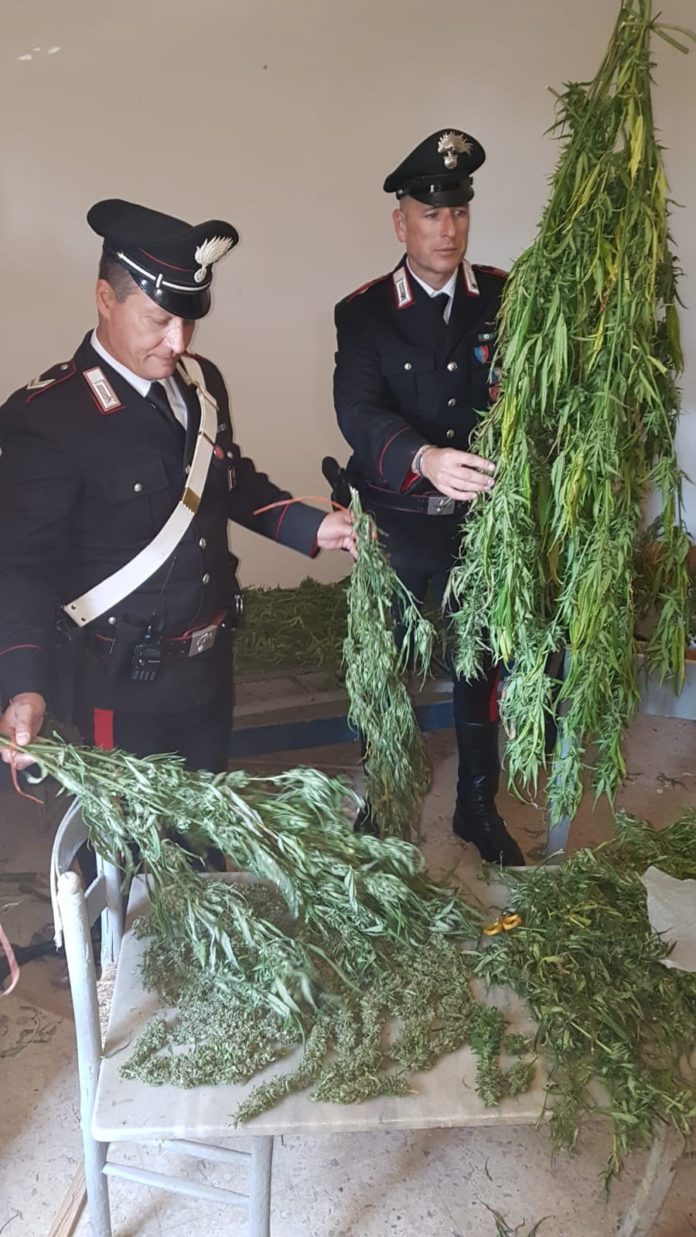 carabinieri pontinia