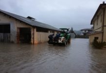 Esondazioni, Aspal, Agrocepi e Cusu attaccano: tutti i nodi vengono al pettine