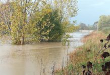 Il Consorzio di Bonifica in balia della polemica: c’è chi chiede le dimissioni dei vertici e chi sollecita maggiori risorse