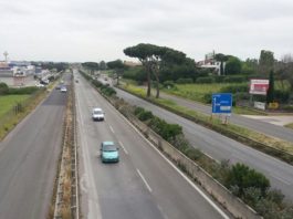 sfalcio del verde