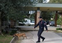Latina, nel bagno della scuola hashish e marijuana