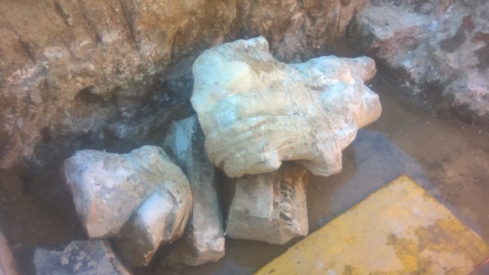 WhatsApp Image 2019-03-29 at 16.19.37