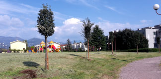 Cisterna, piantati 30 lecci: nuovo look per il parco Giovanni Paolo II