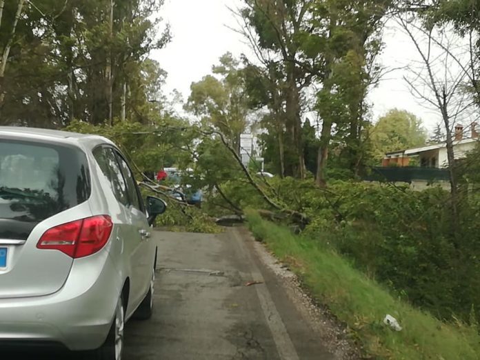 44977575_10213641185799762_2514856415852494848_n-696x522