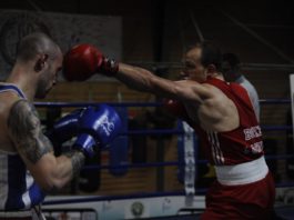Boxe Latina
