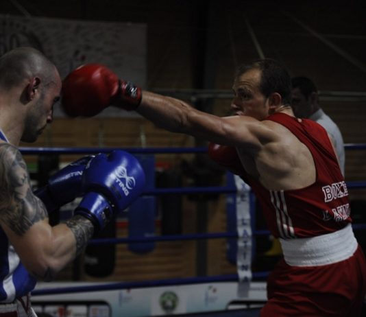 Boxe Latina