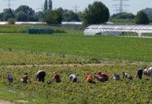 Latina: viabilità, caporalato e usura. Imprese dal prefetto di Latina per i problemi del territorio