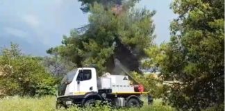 Sabaudia, fulmine prende in pieno un albero. Incendio all’ex Onc