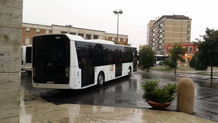 bus-696x392