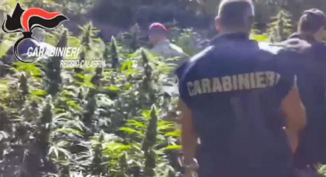 carabinieri