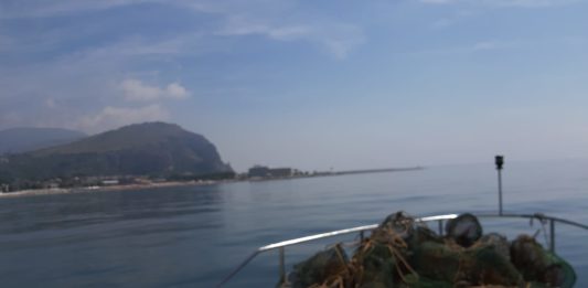 pesca illegale