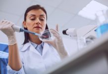 Chiudono i centri analisi di Anzio e Nettuno, prelievi in arrivo anche a Latina Anzio e Nettuno