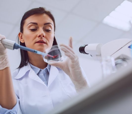 Anzio e Nettuno