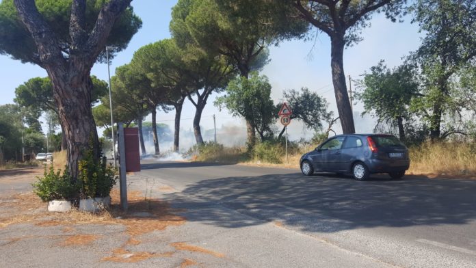 983a9a0f-31dc-4cb5-9bd5-8404aaf2c174