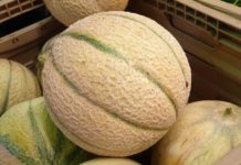 Caldo africano, a Sabaudia cibi rinfrescanti al mercato di Campagna Amica