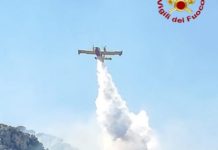 Due incendi distruggono 50 ettari di macchia mediterranea due incendi