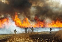 Terracina, parte il piano antincendio boschivo