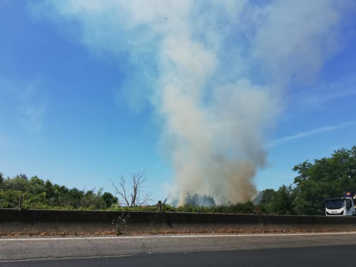 incendio pontinia