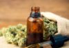 Olio CBD: sempre più apprezzato dagli italiani