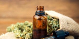 Olio CBD: sempre più apprezzato dagli italiani