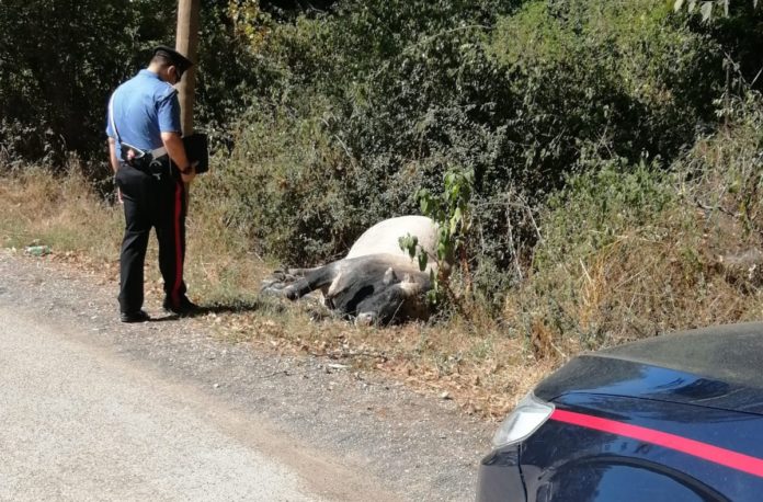 a8cdd462-54ed-4ec5-b412-268cd846cd9e