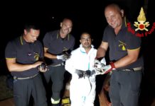 Sezze, cagnolini di 3 giorni bloccati nel terreno: salvati dai vigili del fuoco