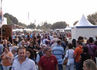 Fiera di San Michele