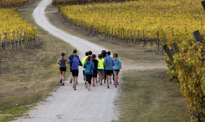 Foto di Elvio Maccheroni
