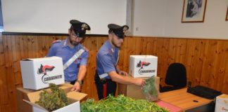 Sequestrato ingente quantitativo di marijuana, 42enne di Formia arrestato