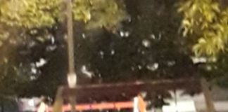 Latina, donna con il niqab al Nicolosi. La segnalazione di CasaPound