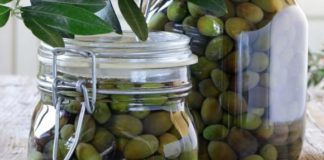 olive in salamoia