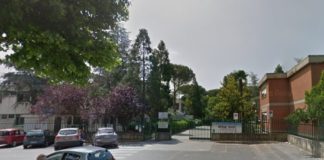 Latina, di nuovo topi nella scuola Goldoni. Bambini spaventati