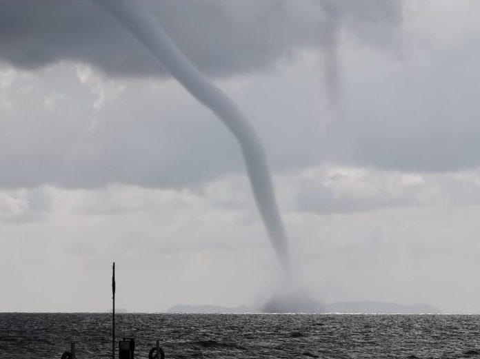 tromba-marina tromba marina