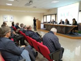 piccole e medie imprese